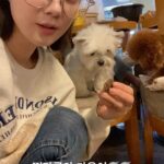Jang Na-ra Instagram –