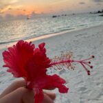 Janina Uhse Instagram - Welcome to Olhahali Island 🏝️ Anzeige, weil markiert// @jumeirahmaldives