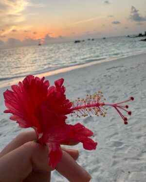 Janina Uhse Instagram - Welcome to Olhahali Island 🏝️ 

Anzeige, weil markiert// @jumeirahmaldives