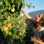 Janina Uhse Instagram - Anzeige//Ohhhhh, wie schön ist Südtirol 🍎❤️🍷 Hatten eine wunderschöne Familienauszeit inmitten von Apfelbäumen, Weinreben und ganz viel frischer Bergluft. Ich sag’s euch, der kleine Mann hat hervorragend geschlafen (was sonst nicht so häufig der Fall ist)- wir aber auch, nach dem wunderschönen Stadtrundgang in Brixen und der ein oder anderen Marende 🧀🥓🍞 Wir kommen wieder, keine Frage! ❤️ Wart ihr schon mal in Südtirol? Wenn ja, wo? @suedtirol.official @visitbrixen @natz_schabs #southtyrol #suedtirol #südtirol #visitbrixen #natzschabs