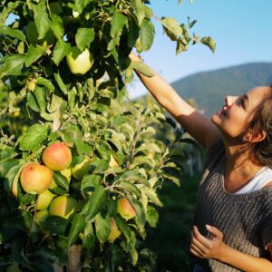Janina Uhse Instagram - Anzeige//Ohhhhh, wie schön ist Südtirol 🍎❤️🍷
Hatten eine wunderschöne Familienauszeit inmitten von Apfelbäumen, Weinreben und ganz viel frischer Bergluft. 
Ich sag’s euch, der kleine Mann hat hervorragend geschlafen (was sonst nicht so häufig der Fall ist)- wir aber auch, nach dem wunderschönen Stadtrundgang in Brixen und der ein oder anderen Marende 🧀🥓🍞
Wir kommen wieder, keine Frage! ❤️
Wart ihr schon mal in Südtirol? Wenn ja, wo? 
@suedtirol.official @visitbrixen @natz_schabs 
#southtyrol #suedtirol #südtirol #visitbrixen #natzschabs