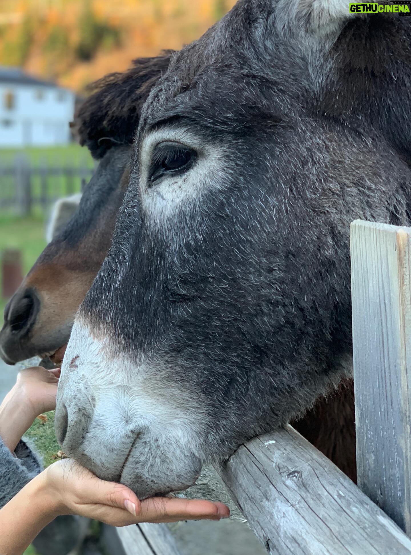Janina Uhse Instagram - Anzeige, weil markiert// Den drehfreien Tag bestmöglich genutzt im @naturhotelforsthofgut 🏔️🥰 1. Leckeren Cocktail geschlürft 2. Im Family Spa erholt 3. Den Kinderbereich unsicher gemacht 4. Herrlich schnabuliert 5. Neue Freunde gefunden Bis gaaaanz bald 🥰