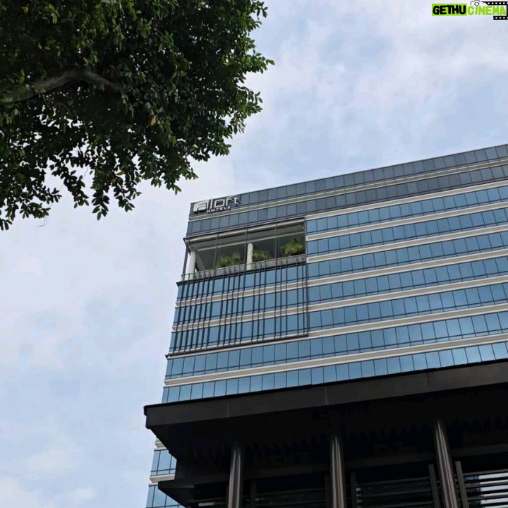 Janine Gutierrez Instagram - mornings in Singapore 🪄 thank you @nw.travels24 @dr.travelph for helping us find hotels for this trip in a fully booked sg ♥️♥️