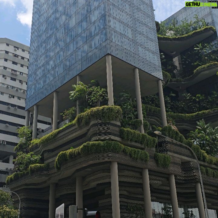 Janine Gutierrez Instagram - mornings in Singapore 🪄 thank you @nw.travels24 @dr.travelph for helping us find hotels for this trip in a fully booked sg ♥️♥️