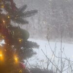 January Jones Instagram - Merry Christmas Eve ❄️🎄