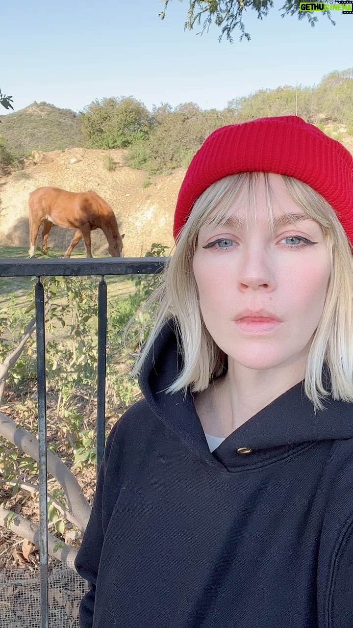 January Jones Instagram - I’m here for you when you need me @natgeo