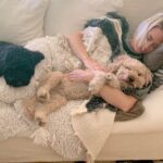 January Jones Instagram – Try to be as productive as me this wknd. It’s important to have a goal. ❤️🐶
