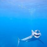 January Jones Instagram – Repost from @abc4explore
•
‼️🆘PLEASE SHARE THIS WITH AS MANY PEOPLE AS YOU CAN🆘‼️Now that Shark Week is over, let’s not forget to keep supporting OCEAN CONSERVATION efforts around the world to PROTECT & RESPECT SHARKS! SOMETHING YOU CAN DO RIGHT NOW TO SAVE SHARKS is send a polite message to @MayorDonnaHoladay holadayformayor@gmail.com & @cityofnewburyport @visitnbpt and ask them to “PLEASE STOP THE SHARK KILLING CONTEST” that is happening THIS WEEKEND IN THE USA!!! Sharks are incredibly polite & absolutely vital predators to this planet, so let’s fight for their survival so they don’t end up dead or deformed like this poor Mako Shark with its jaws ripped out as a result of shark fishing. Nothing on this planet deserves to be relentlessly targeted & murdered every single day of its life… #stopkillingsharks #abc4explore