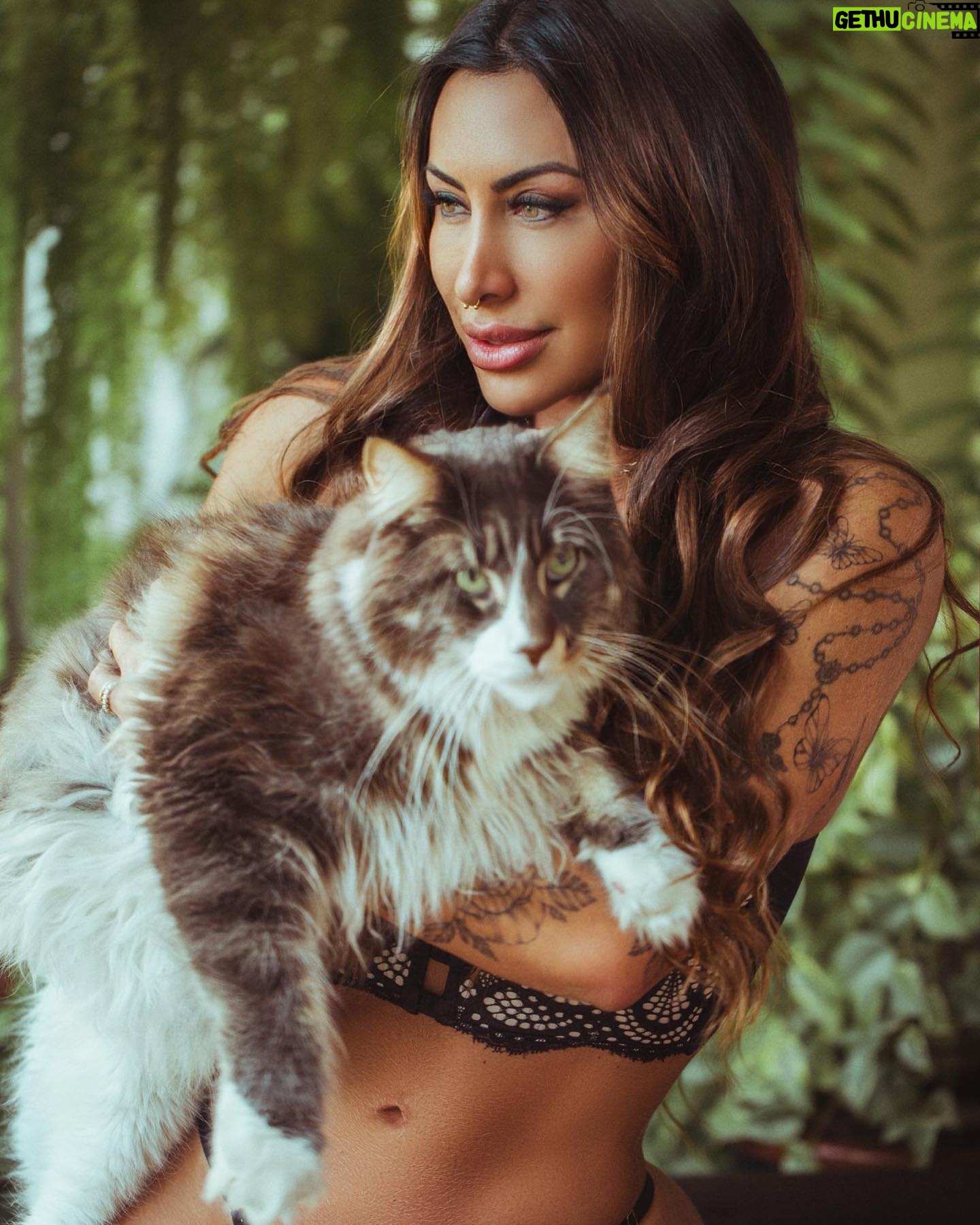 Jaque Khury Instagram - Bom dia pessoal! E bom início de semana pra vocês 🐈