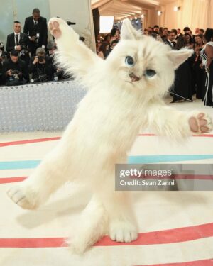 Jared Leto Instagram - Happy Met Gala 🖤

Which was your favorite?

Maybe it’ll make an appearance on tour 🐱

@gucci @alessandro_michele @karllagerfeld @scpsunlimited @kimkardashian @kendalljenner @kyliejenner @dakotajohnson @katyperry @jimmyfallon @honeymoon @donatella_versace