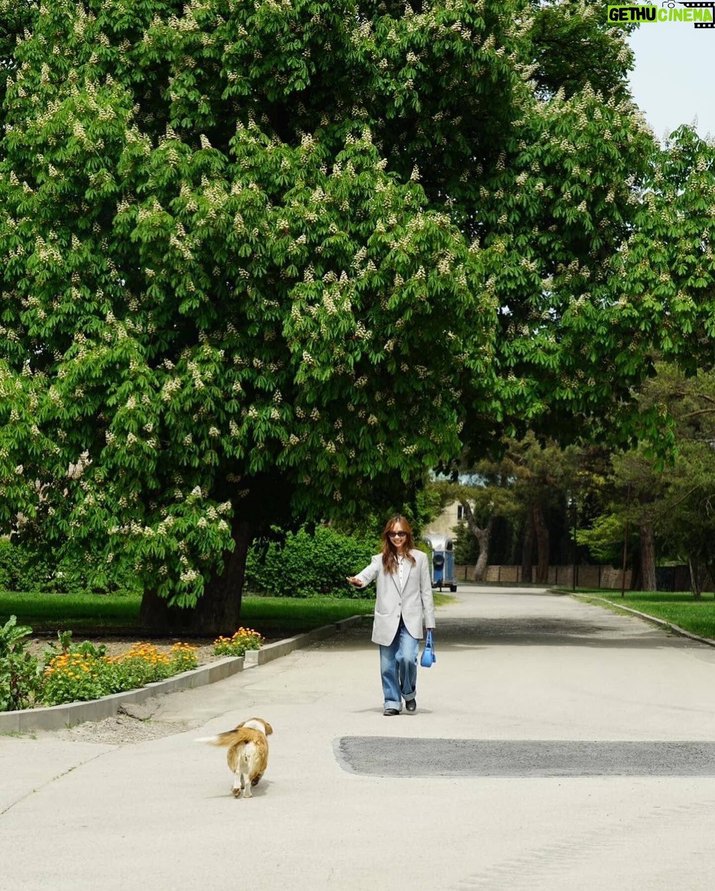Jarinporn Joonkiat Instagram - 🐕🏃🏻♀️ More joy 💗✌🏻 แค่วิ่งเล่นกับเจ้าหมาก็มีความสุขแล้ว :)))))