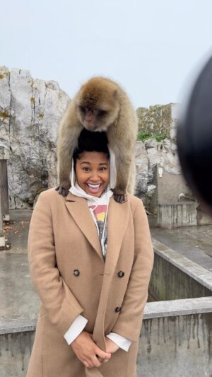 Jasmine Luv Instagram - 📍Gibraltar, Spain
Y’all! I had a whole Barbary Ape on my head 😳😂 The bucket list is shrinking ❤️🐒 @luvnslim
