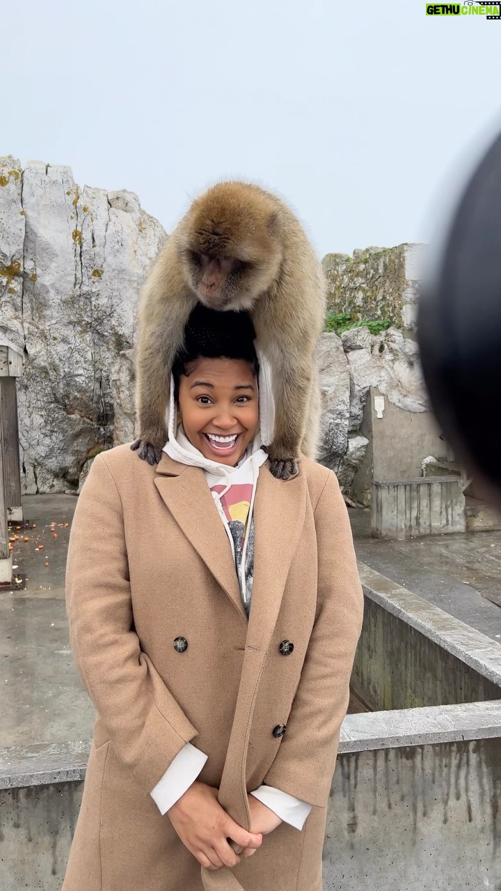 Jasmine Luv - 23.7K Likes - 📍Gibraltar, Spain
Y’all! I had a whole Barbary Ape on my head 😳😂 The bucket list is shrinking ❤️🐒 @luvnslim
