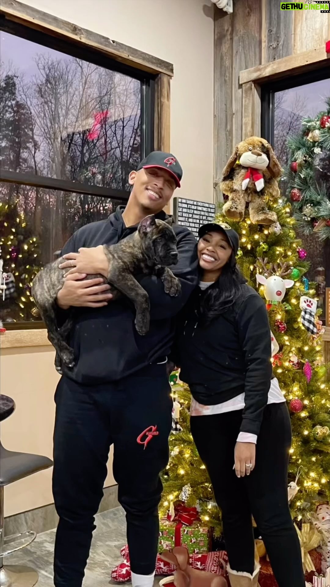 Jasmine Luv - 41K Likes - To our boy and our heart @zeus_luvnslim, there’s no question you were God sent. Thank you loving us unconditionally and showing us what pure love looks and feels like. We will cherish the last 2.5 years with you. You were adventurous, a protector, a gentle giant and undoubtedly an angel. God called you home and although it’s been tough, your effect on people will be everlasting. Thank you for welcoming Zeus into your homes. He was truly loved and will forever be in our hearts 💔 RIP Zeus! 😇 🪽🕊️