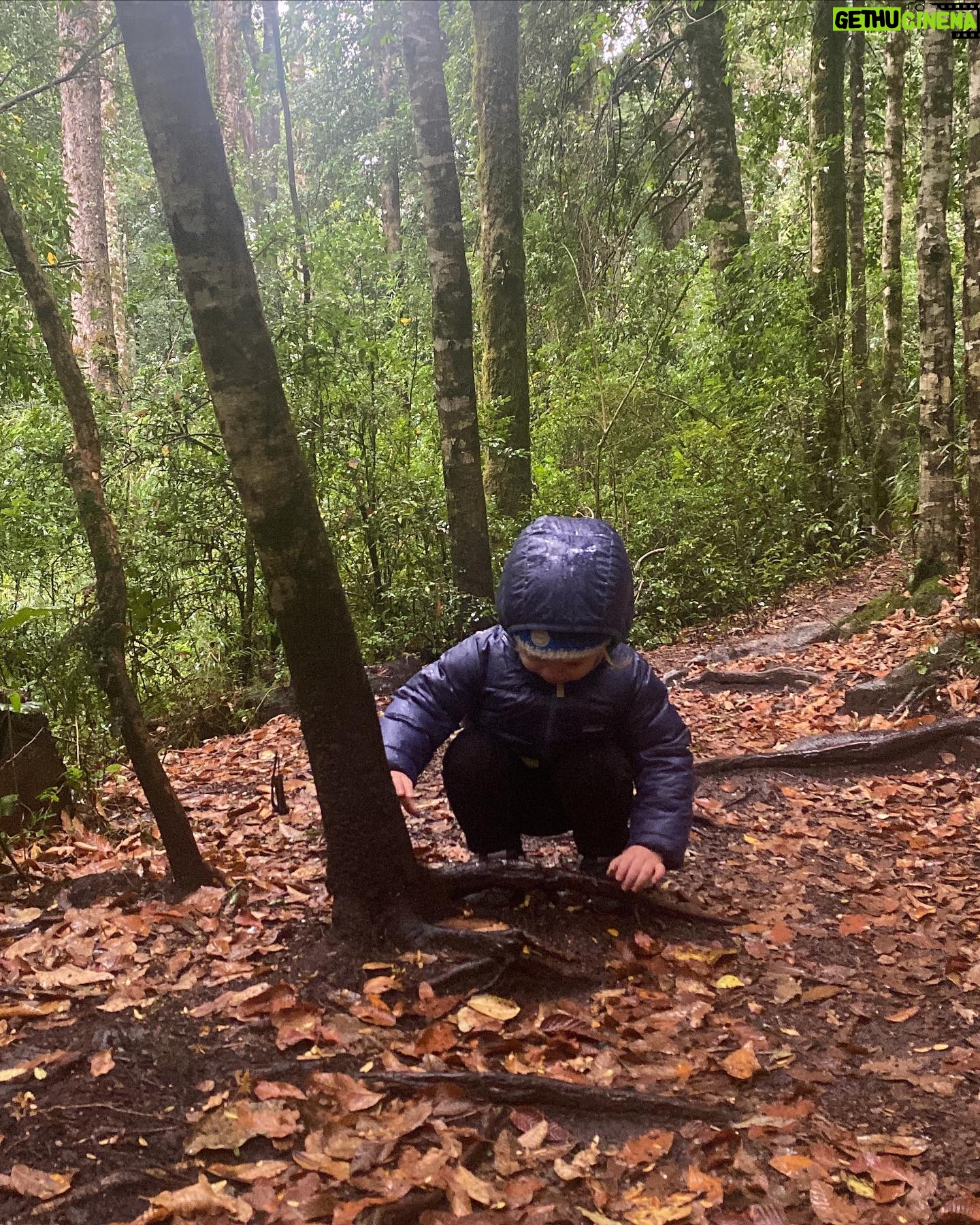 Javiera Acevedo Instagram - Sur de otoño 🍁 🍂 #sinpisarelagua
