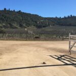 Javiera Acevedo Instagram - Se vende terreno de 5000m2 en Fundo Puertecillo, gran vista a Topopcalma. Sector de Valle Hidango. Energia Fotovoltaica para luz Agua de pozo comun con derechos traspasados a la comunidad, con bombas fotovoltaicas. 1- vista del terreno 2- entrada al fundo Puertecillo 3- tour virtual Interesados contactarse por dm