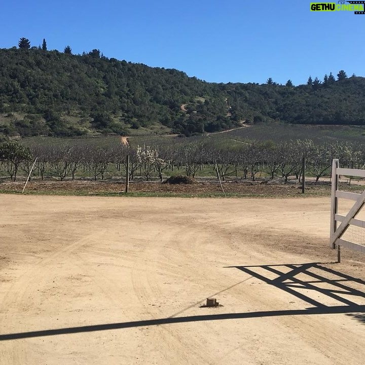 Javiera Acevedo Instagram - Se vende terreno de 5000m2 en Fundo Puertecillo, gran vista a Topopcalma. Sector de Valle Hidango. Energia Fotovoltaica para luz Agua de pozo comun con derechos traspasados a la comunidad, con bombas fotovoltaicas. 1- vista del terreno 2- entrada al fundo Puertecillo 3- tour virtual Interesados contactarse por dm