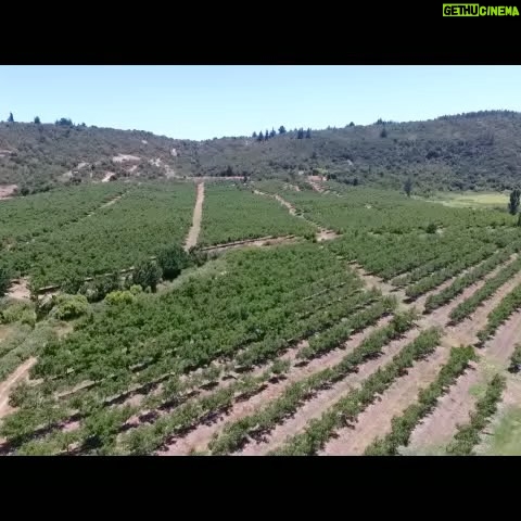 Javiera Acevedo Instagram - Se vende terreno de 5000m2 en Fundo Puertecillo, gran vista a Topopcalma. Sector de Valle Hidango. Energia Fotovoltaica para luz Agua de pozo comun con derechos traspasados a la comunidad, con bombas fotovoltaicas. 1- vista del terreno 2- entrada al fundo Puertecillo 3- tour virtual Interesados contactarse por dm