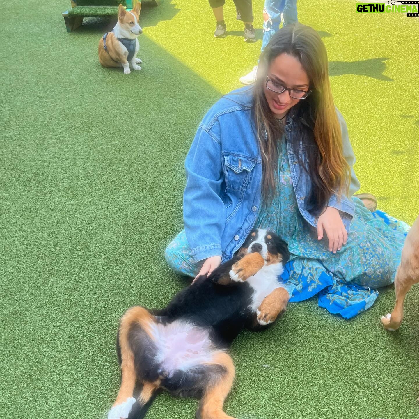 Jazz Jennings Instagram - The Dog Days Are Over🐶☀️ —— Featuring @_nina_luong_ and her spirit animal🩷
