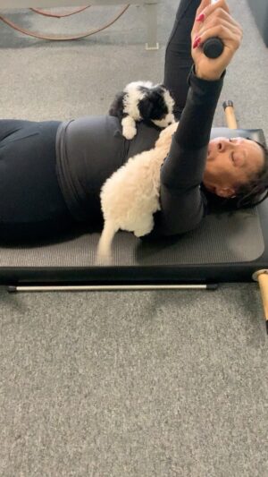 Jenifer Lewis Instagram - Getting in shape for my new showtime series my new book release and my star on the Hollywood walk of fame. What a year!!!!
*
*
*
*
#showtime #Ilovethatforyou #star #Hollywoodwalkoffame #WalkingInMyJoy #JeniferLewis #TheMotherOfBlackHollywood #InTheseStreets