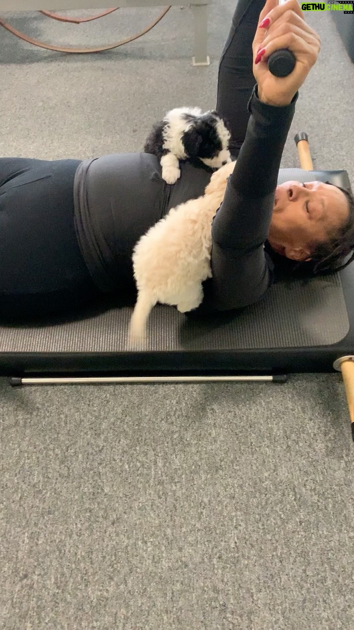 Jenifer Lewis - 60.7K Likes - Getting in shape for my new showtime series my new book release and my star on the Hollywood walk of fame. What a year!!!!
*
*
*
*
#showtime #Ilovethatforyou #star #Hollywoodwalkoffame #WalkingInMyJoy #JeniferLewis #TheMotherOfBlackHollywood #InTheseStreets