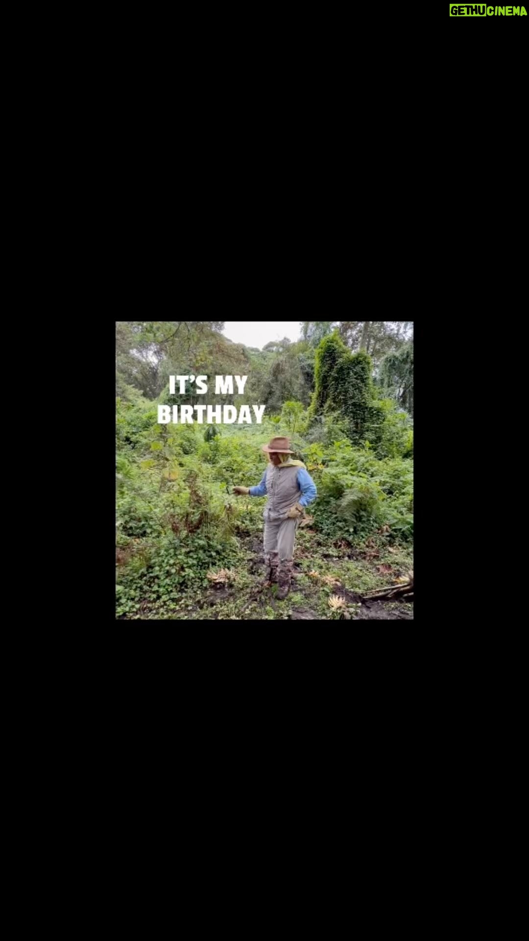 Jenifer Lewis Instagram - Trekkin with the lowland gorillas in the mountains of Rwanda 🦍 Happy birthday to my crazy ass!