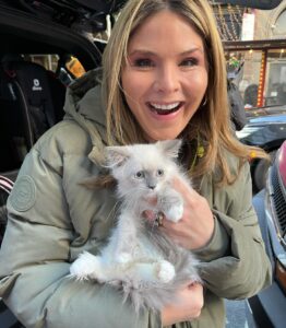 Jenna Bush Hager Instagram - Introducing the newest member of the Hager fam… Mango! Poppy’s new kitten! And he’s already best friends with his sister Hollywood 😸😸😸💓💓