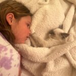 Jenna Bush Hager Instagram - Introducing the newest member of the Hager fam… Mango! Poppy’s new kitten! And he’s already best friends with his sister Hollywood 😸😸😸💓💓
