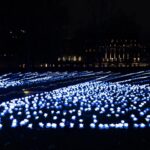 Jenna Coleman Instagram - The beautiful @everaftergarden in remembrance of @michaelhowells100 supporting @royalmarsden created by wonderful @anyahindmarch and @camillamorton ⭐️🌼🌹