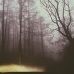 Jenna Coleman Instagram – Into the mystic ..🌪🌪🌪