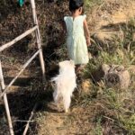 Jenna Ortega Instagram - മൂന്നും മുപ്പതും കൂടി ഒരു സായാഹ്ന സവാരിക്കിറങ്ങിയപ്പോൾ… #niece #mybundleofhappiness