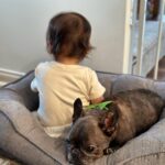 Jenna Ushkowitz Instagram - 2023 was a year of high highs and the lowest of lows. Emma kept us moving forward with joy and gratitude through every challenge that 2023 threw at us. We remember the best boy, Bear and leave behind everything that no longer serves us from this past year. I am looking to light and joy in the year ahead, continuing to work on self respect and self love with appreciation that life grants us another year full of our health and happiness. ✨