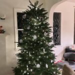 Jenna Ushkowitz Instagram - Lately 🎄 🕎 ✨