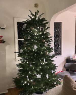 Jenna Ushkowitz Instagram - Lately 🎄 🕎 ✨