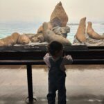 Jenna Ushkowitz Instagram - A day with the 🦖 🦕