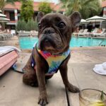 Jenna Ushkowitz Instagram - 🌈 🐻