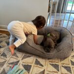 Jenna Ushkowitz Instagram - 🐾 ❤️