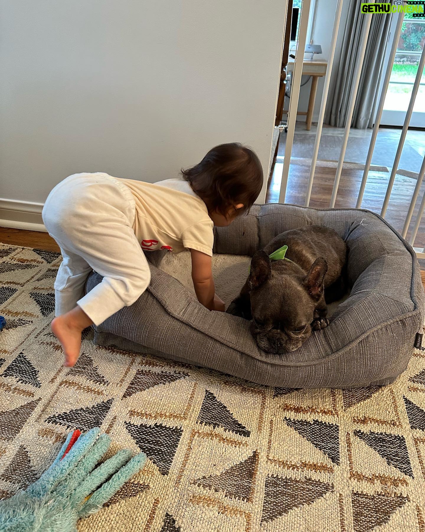 Jenna Ushkowitz - 8.4K Likes - 🐾 ❤️