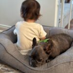 Jenna Ushkowitz Instagram - 🐾 ❤️