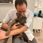Jenna Ushkowitz Instagram - 🐾 ❤️