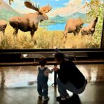 Jenna Ushkowitz Instagram - A day with the 🦖 🦕