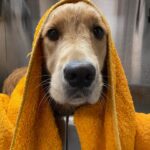 Jennifer Connelly Instagram - Bath time for Wallis.