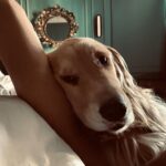 Jennifer Connelly Instagram - Lazy morning with Wallis.