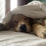 Jennifer Connelly Instagram - Meanwhile, in Brooklyn…