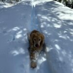 Jennifer Connelly Instagram - Snowshoe adventure in VT ❄️
