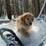 Jennifer Connelly Instagram - Snowshoe adventure in VT ❄️