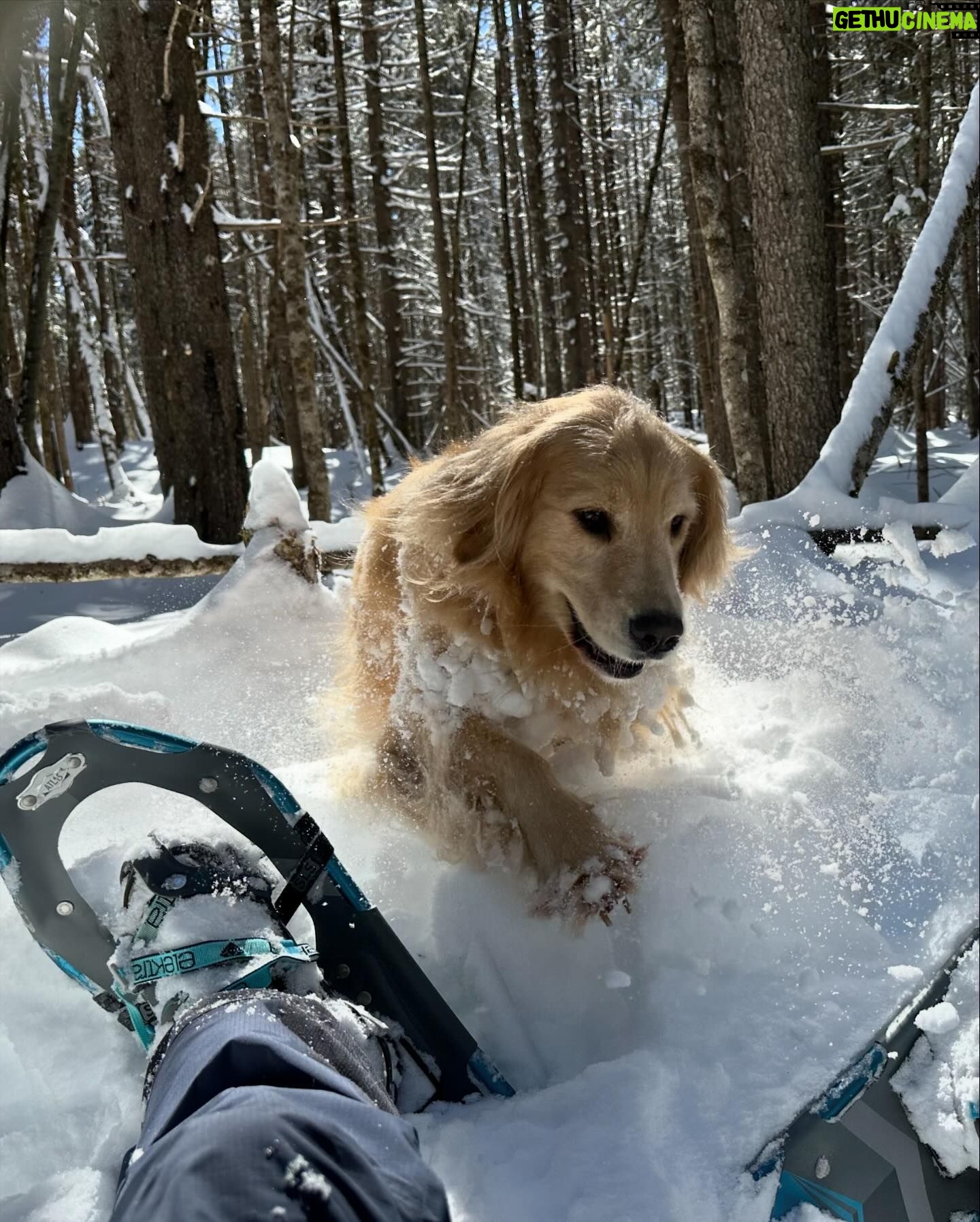 Jennifer Connelly Instagram - Snowshoe adventure in VT ❄️