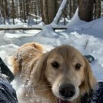 Jennifer Connelly Instagram - Snowshoe adventure in VT ❄️