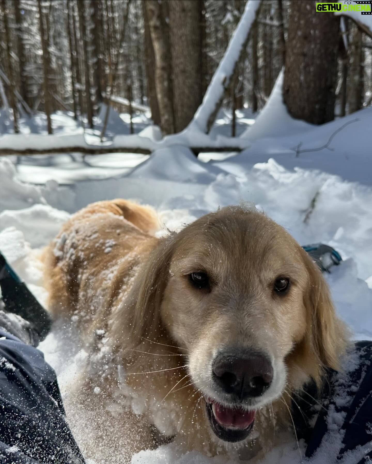 Jennifer Connelly Instagram - Snowshoe adventure in VT ❄️