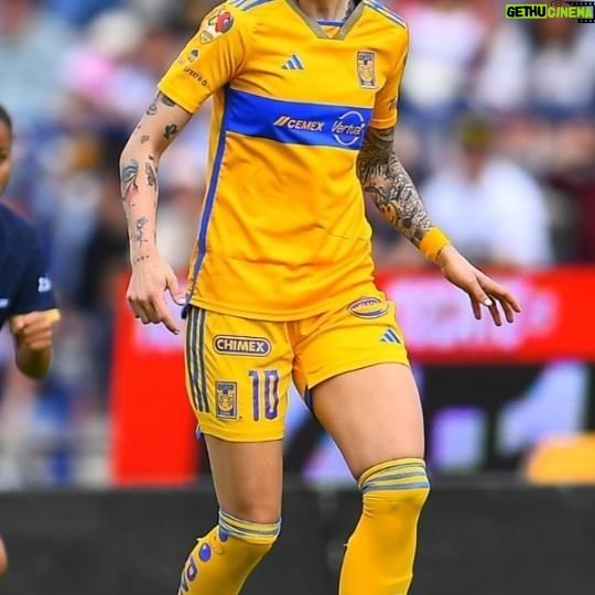 Jennifer Hermoso - 28.3K Likes - ✨️🐯 Durante la Jornada 2, @jennihermoso comenzó a escribir su historia en Tigres, gran debut Amazona.
Class debut for @jennihermoso! 🔝🐯
